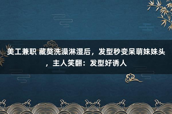 美工兼职 藏獒洗澡淋湿后，发型秒变呆萌妹妹头，主人笑翻：发型好诱人