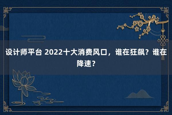 设计师平台 2022十大消费风口，谁在狂飙？谁在降速？