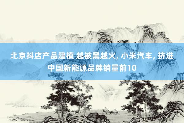 北京抖店产品建模 越被黑越火, 小米汽车, 挤进中国新能源品牌销量前10